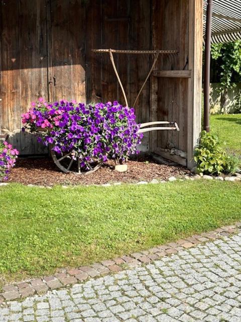 Milcherhof Mieders Eksteriør bilde